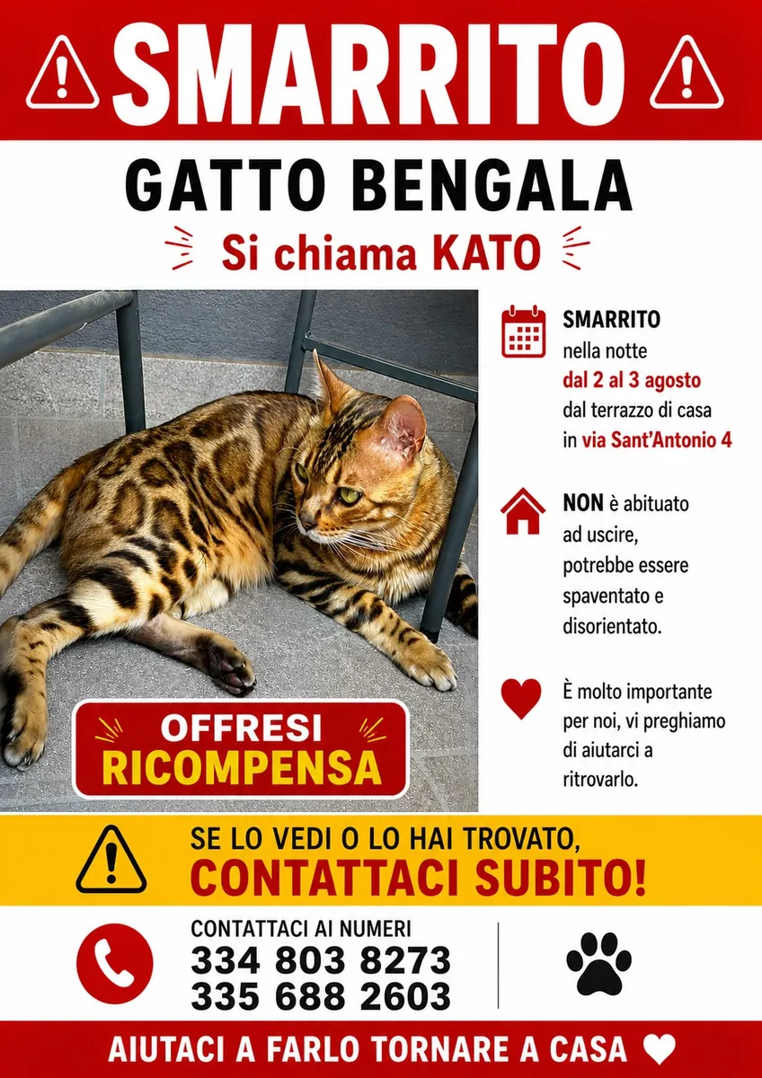 Kato — Gatto · Rubato · 17 ott 2026