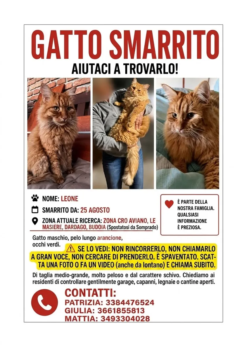 Leone — Gatto · Fuga accidentale · 25 ago 2026