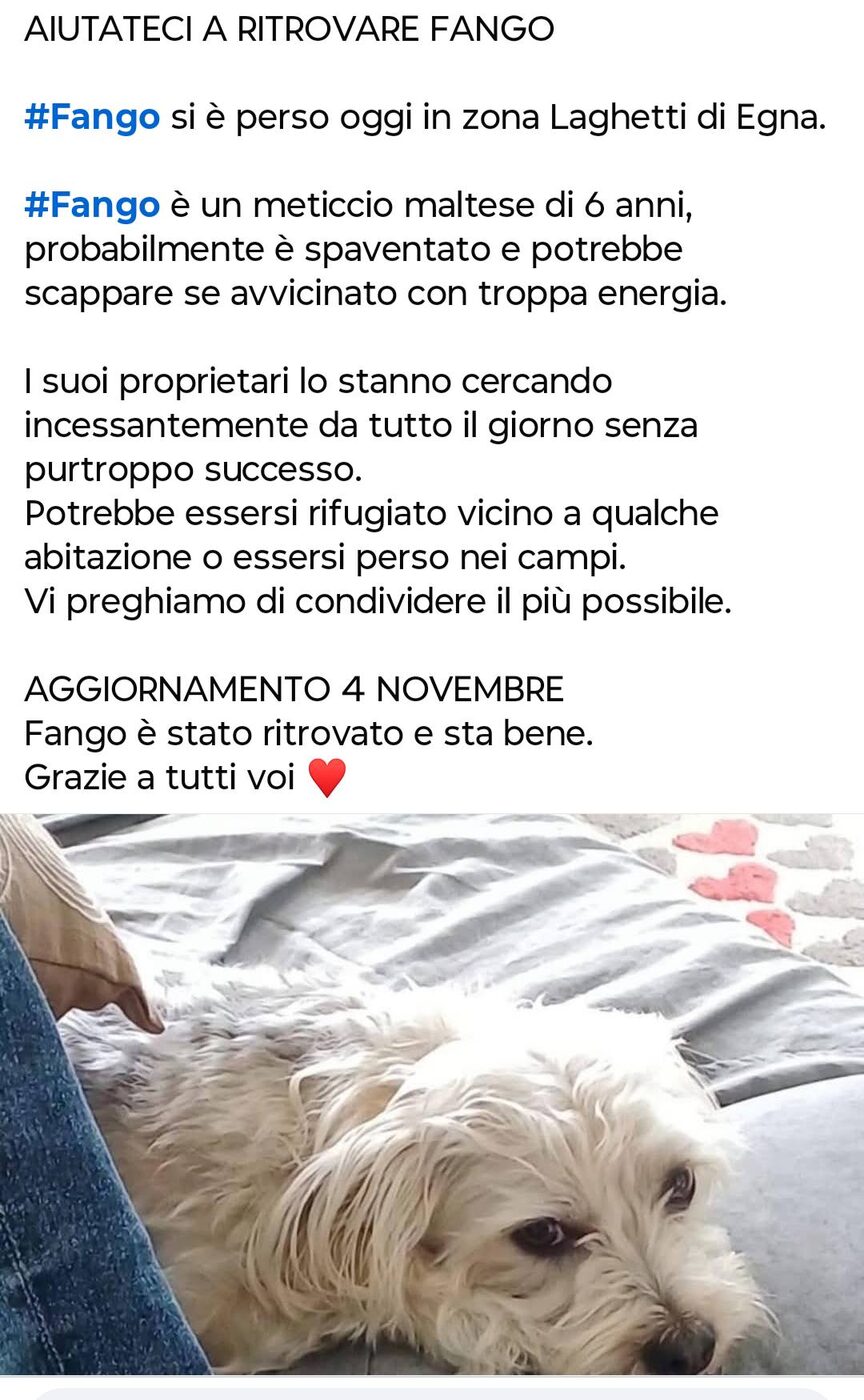 Fango — Cane · fuga improvvisa · 8 gen 2026