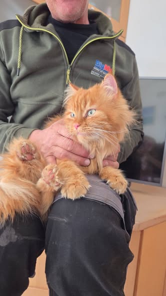 653709191_10235780299239481_4164051046904147708_n